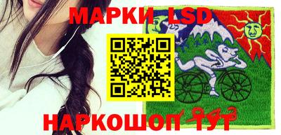 шишки Изобильный