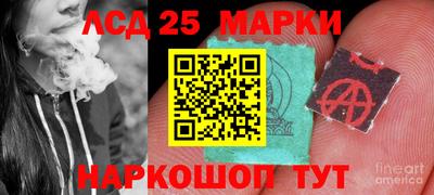 apvp Камышлов