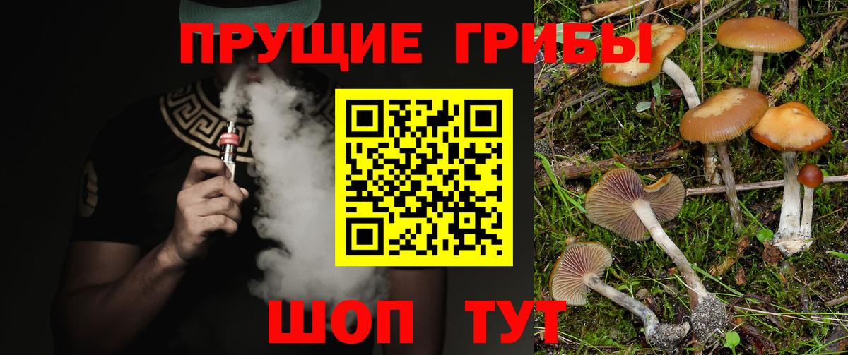 купить наркотики цена  Вход с VPN  Краснокаменск  Псилоцибиновые грибы мицелий  Галлюциногенные грибы MAGIC MUSHROOMS 